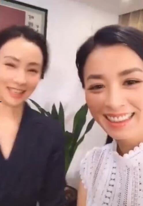 张庭爆料陶虹撒娇视频,甜蜜互动引网友热议