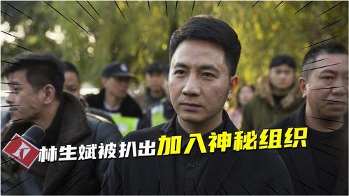林生事件最新爆料,最新爆料揭露惊人内幕
