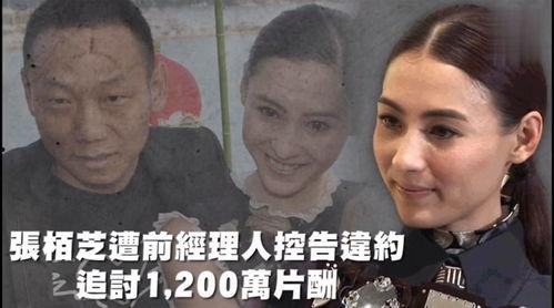 娱乐历史吃瓜,那些年我们一起吃过的瓜