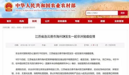 丰县最新爆料信息今天,揭秘事件背后惊人真相! 第3张 丰县最新爆料信息今天,揭秘事件背后惊人真相! 第3张