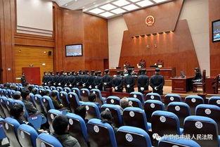 新闻爆料黑势力案件最新,揭秘幕后交易网络  第2张