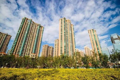 青岛城阳最新爆料,揭秘城阳发展新动向与未来蓝图 第3张 青岛城阳最新爆料,揭秘城阳发展新动向与未来蓝图 第3张