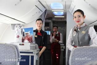 国产深圳空姐在线观看,展现空中服务新篇章 第2张 国产深圳空姐在线观看,展现空中服务新篇章 第2张