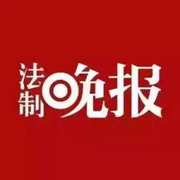 藁城爆料最新新闻头条,突发事件引发关注，详情揭晓！  第2张