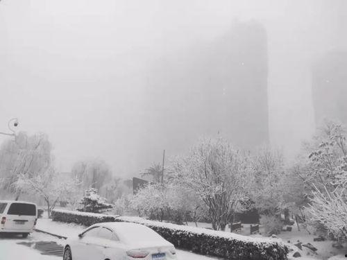 石家庄爆料下雪事件视频,石家庄惊现罕见大雪奇观！