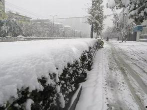 石家庄爆料下雪事件视频,石家庄惊现罕见大雪奇观! 第3张 石家庄爆料下雪事件视频,石家庄惊现罕见大雪奇观! 第3张