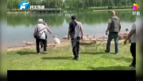 郑州七中爆料事件视频曝光,揭秘校园内幕 第1张 郑州七中爆料事件视频曝光,揭秘校园内幕 第1张