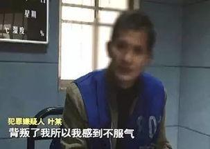 鸡场老板爆料事件真相视频,事件真相视频曝光 第3张 鸡场老板爆料事件真相视频,事件真相视频曝光 第3张
