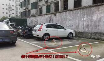 石狮车位价格最新爆料,涨跌动态一览无余  第2张