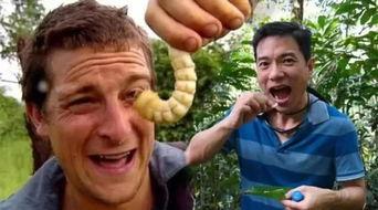 以前网红恶心的吃瓜事件,一场网络狂欢背后的真相  第3张