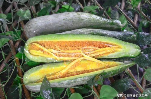 俄罗斯网红吃瓜图片高清,高清吃瓜瞬间引热议  第2张