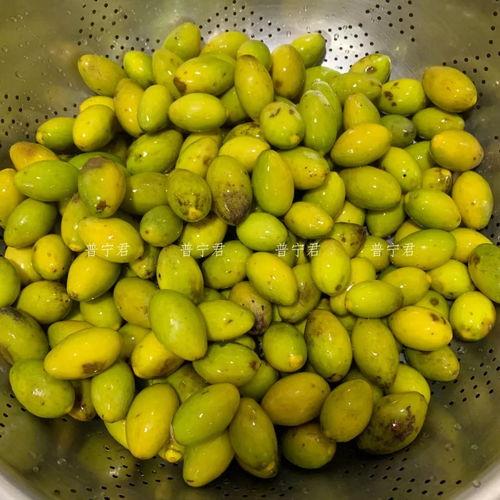 玉蕾橄榄菜爆料怎么做视频,视频教程带你轻松上手 第2张 玉蕾橄榄菜爆料怎么做视频,视频教程带你轻松上手 第2张