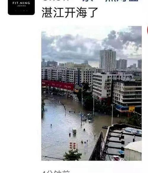 广东湛江最新爆料,揭秘湛江神秘事件背后的真相