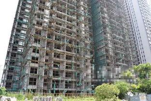 广东湛江最新爆料,揭秘湛江神秘事件背后的真相  第3张