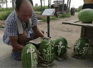 镇平网红吃瓜事件真相视频,真相视频曝光背后的真相  第2张