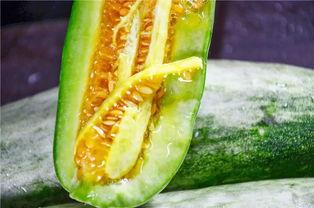 韩城网红 吃瓜,揭秘韩城网红“吃瓜”背后的故事 第3张 韩城网红 吃瓜,揭秘韩城网红“吃瓜”背后的故事 第3张