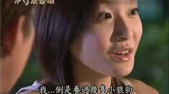 妓女2在线观看,暗夜重生，复仇之路  第2张