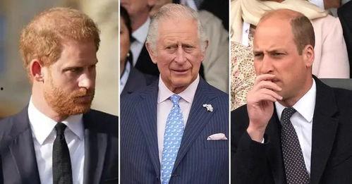 威廉王子最新爆料,揭秘权力斗争与情感纠葛