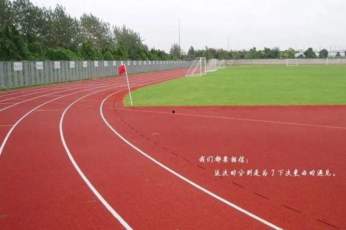 青春跑道在线观看  第3张