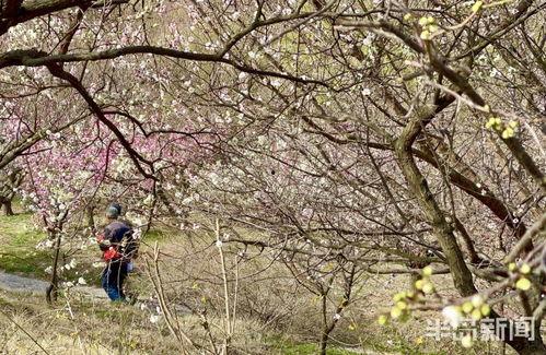 十梅庵今日爆料,今日热点事件深度剖析