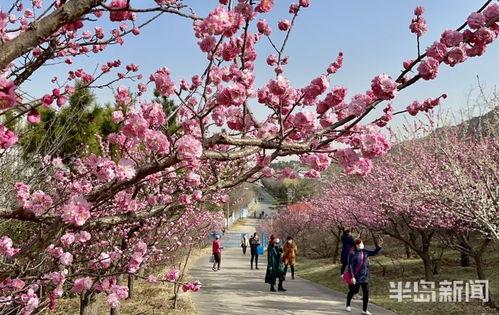 十梅庵今日爆料,今日热点事件深度剖析  第2张