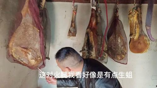 火腿火腿 在线观看,在线观看美食之旅 第2张 火腿火腿 在线观看,在线观看美食之旅 第2张