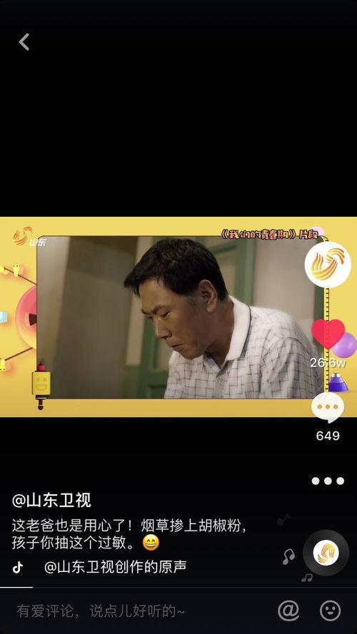 八卦爆料小王子视频播放,小王子视频播放背后的惊人真相  第2张