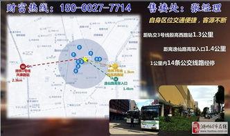 热点爆料资讯最新消息,热点资讯聚焦，揭秘事件背后真相