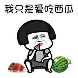 娱乐吃瓜酱蠢人,蠢人生涯的趣味解读  第2张