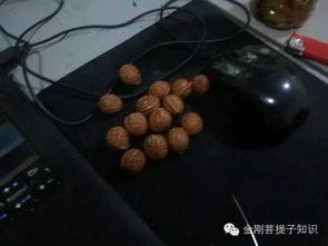 铁桃核在线观看,在线重温经典武侠传奇 第2张 铁桃核在线观看,在线重温经典武侠传奇 第2张