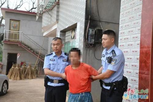 杞县同村人爆料新闻,揭秘村庄背后惊人真相