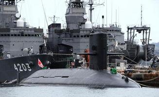 日本潜水艇爆料视频大全,日本潜水艇爆料视频大全精彩回顾