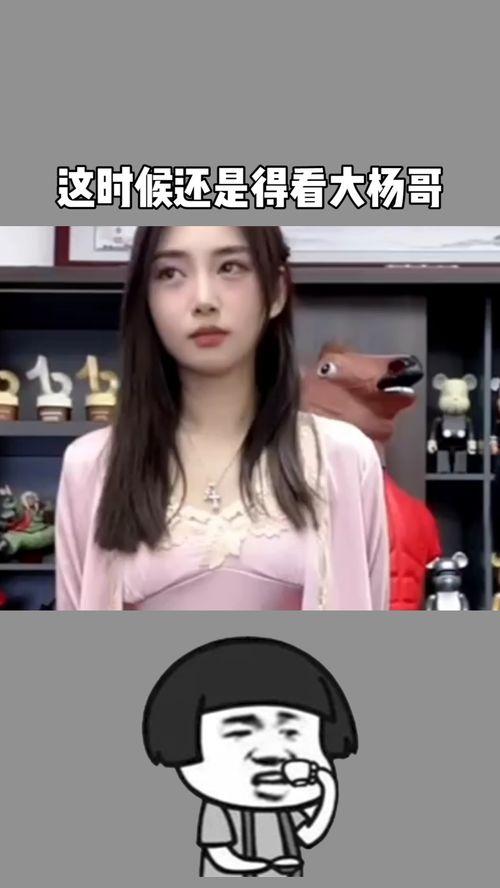 大杨哥爆料照片大全视频,照片大全视频揭秘幕后真相