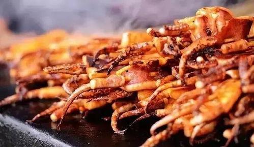 爆料铁板鱿鱼视频,独家爆料视频带你领略美食魅力 第2张 爆料铁板鱿鱼视频,独家爆料视频带你领略美食魅力 第2张