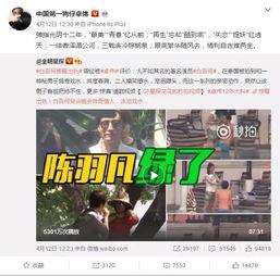 爆料李湘博主视频,娱乐圈背后的惊人真相  第2张