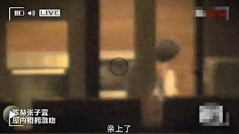 娱乐圈真实爆料陈赫,娱乐圈真相大揭秘