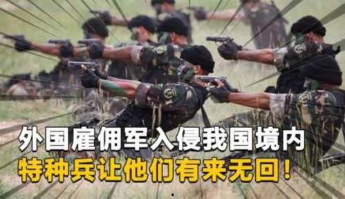 在线观看雇佣军,在线世界的雇佣兵传奇