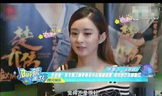 娱乐八卦每日爆料赵丽颖林更新,娱乐圈再掀甜蜜风暴