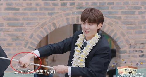 王勉爆料双胞胎视频,萌态可掬引网友热议