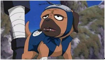 帕克火影忍者最新爆料忍战雷影,帕克火影忍者最新爆料揭秘神秘力量