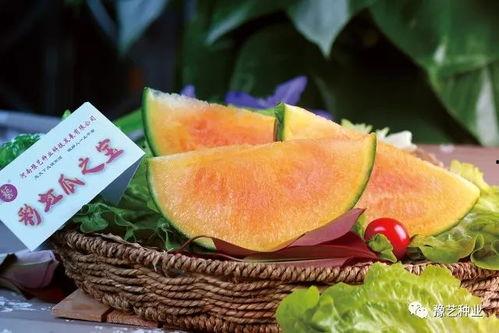 河南新瓜爆料是真的吗视频,视频真相揭秘 第3张 河南新瓜爆料是真的吗视频,视频真相揭秘 第3张