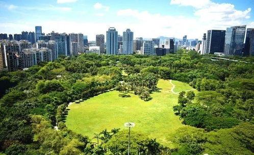 深圳市八卦最新爆料新闻,深圳某神秘事件引发热议  第3张