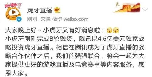 圈内最新爆料,揭秘明星背后的惊人真相！