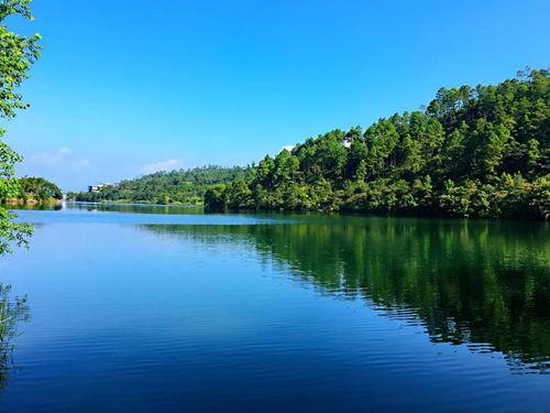 海屿最新爆料,最新爆料背后的惊人真相