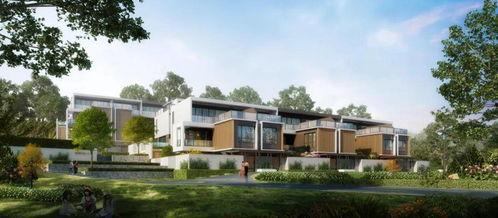 海屿最新爆料,最新爆料背后的惊人真相  第3张