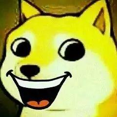 小团团爆料螳螂视频大全,螳螂视频大全大放送！