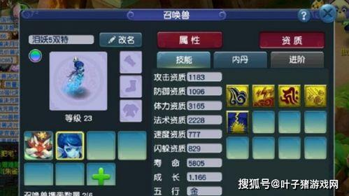 须弥玩法爆料攻略视频,揭秘神秘世界探险秘籍