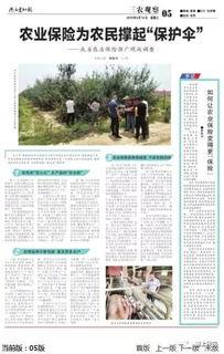 悟惑寺最新爆料新闻报道,最新爆料揭露惊人真相