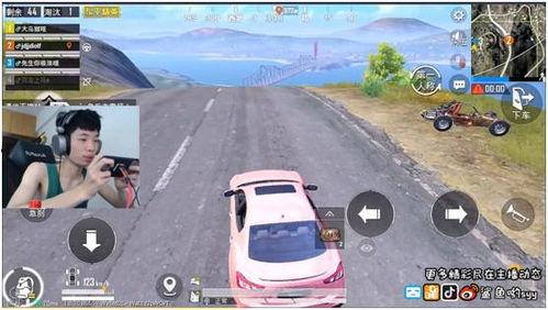 和平 新车爆料最新消息,最新爆料揭示神秘新车型亮点  第2张