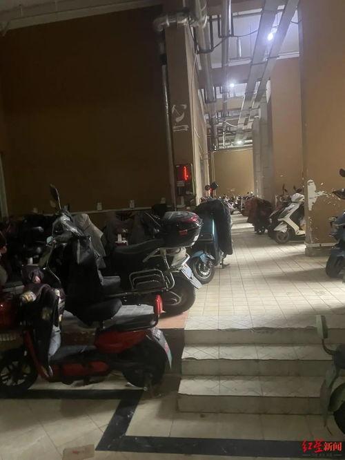 南京电动车爆料新闻事件
